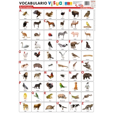 Lámina de vocabulario visual. Animales