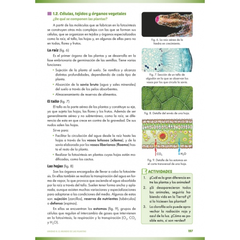 Ciencias de la naturaleza: Biología y geología 1. Educación Secundaria. Libro de aula